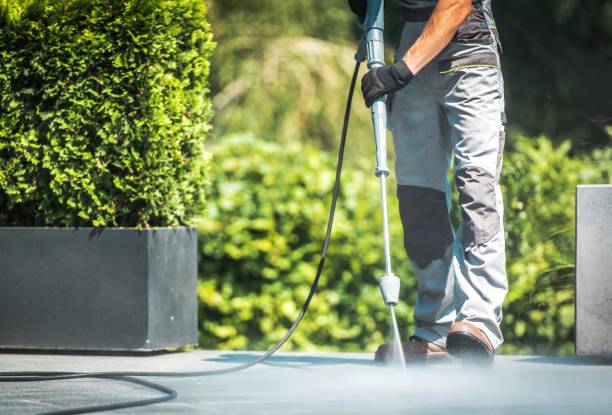 Boat and Dock Cleaning in Dilworth, MN