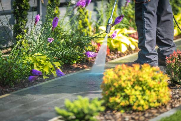 Best Animal Enclosure Cleaning  in Dilworth, MN