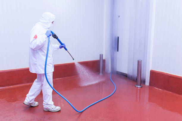 Best Pre-Holiday Cleaning  in Dilworth, MN